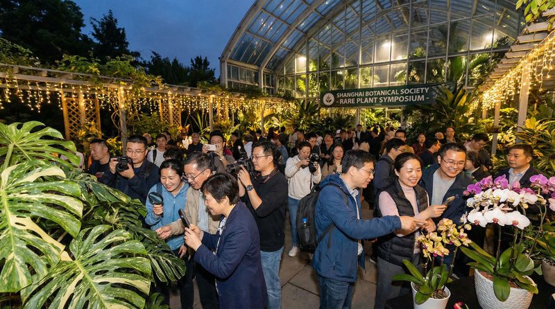 涩里番植物社区活动